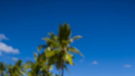 Няколко книги за лятото