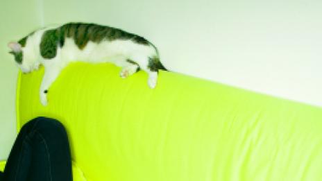 Мързелът е болест, наистина