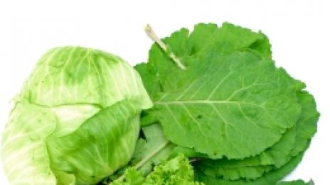 Спанак, зеле и маруля – зелената армия