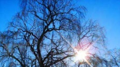 Новозеландски приказки: Властелинът на езерата