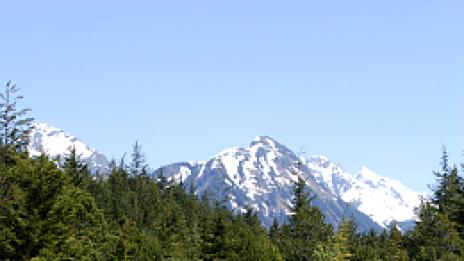 Ледена приказка по американски