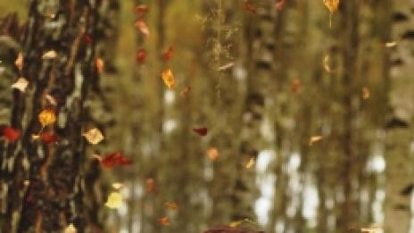 Бъдете близо до природата за здраве