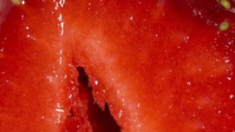 Храната: на каквото прилича, за това е полезно