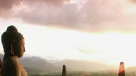 Тази гледка не е за изпускане...