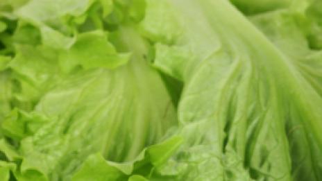 Свежа маруля за свежа кожа