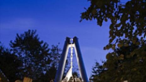 Дървесни приключения