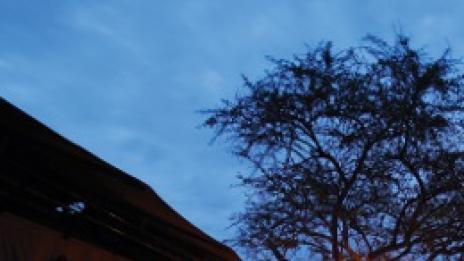 Курорт в резервата. Място на чудесата