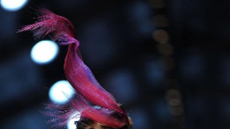 Клас(ик)ата на Dior