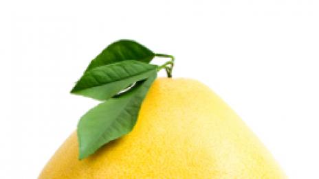 Помело – меденият грейпфрут