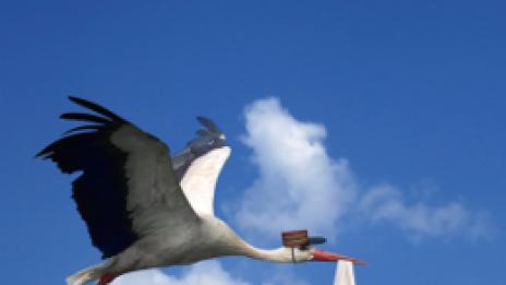 Искате бебе 11.11.11.? Днес е денят!