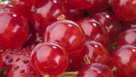 Ягоди и горски плодове в аванс