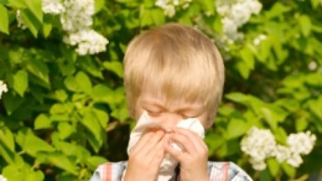 Няколко факти и митове за алергиите