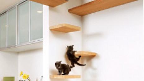 Къща за  котeнца