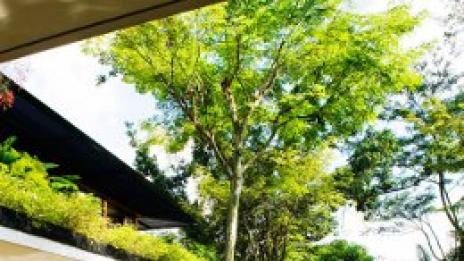 Зелена архитектура за спокойно съществуване