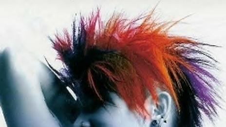 Новата градска джунгла: Punk's not dead!