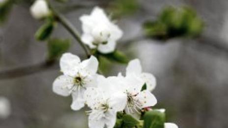 Честита баба Марта и хайде да идва пролет