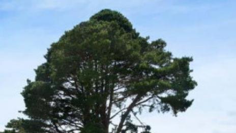 Мечта за продан: Малка къща в прерията