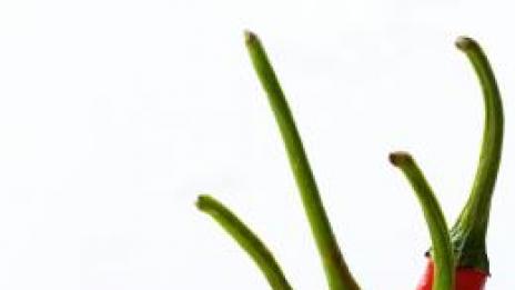 Вече ще отслабваме с люти чушки