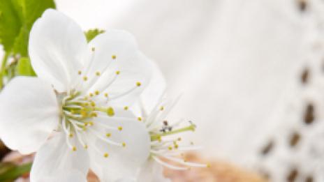 Диети, които вредят на здравето ни: диета без глутен