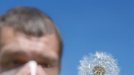 Пролетна алергия? Какво да правим...