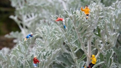 Мини свят в макро обстановка