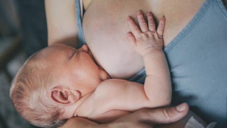 Описано за първи път: Транссексуална кърми!