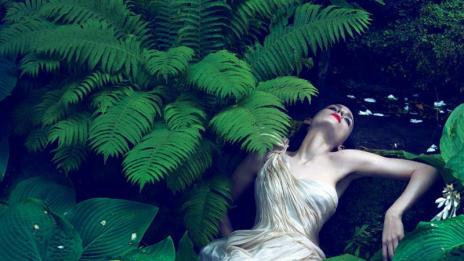 Там, където растат дивите рози