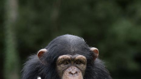 Приятелство без граници