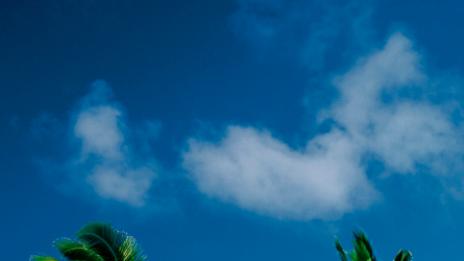 Любопитни факти за Фиджи