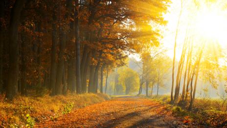 Хороскопът ви за 11 октомври