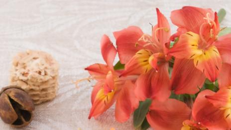 Из рецептите на суровоядците: салата от праскови и моркови