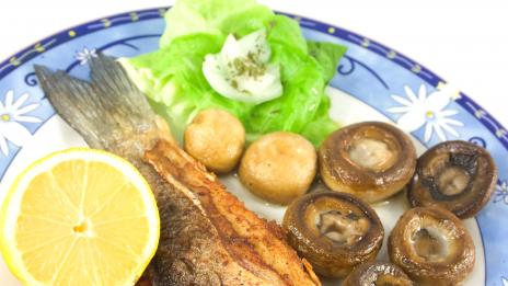 Алтернативни източници на витамин D