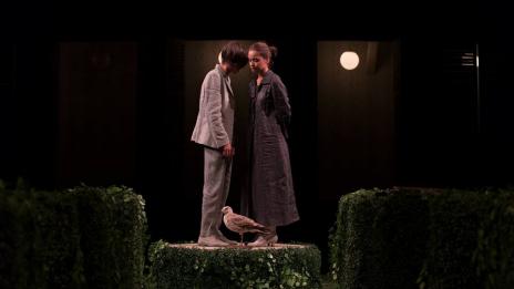 „Чайка“ отново в Театър „Азарян“