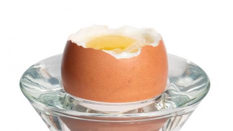 Яице за теб и мен всеки ден!