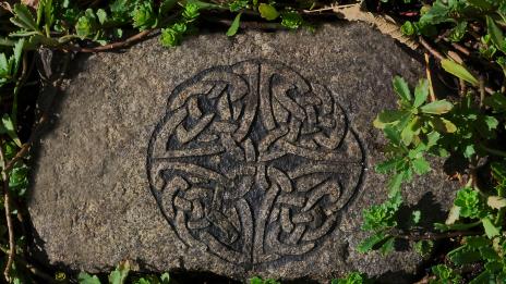 Кое е вашето дърво според келтската астрология (2 част)