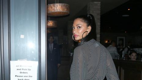 Yes or no: Никол Шерцингер и прозрачният гащеризон