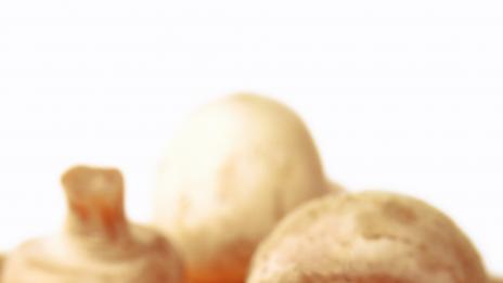 Гъбите са добър източник на витамин D