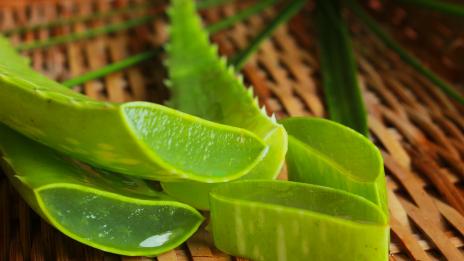 Алое вера при акне – как да го използвате?