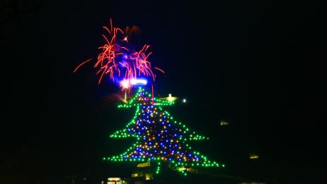 Най-голямото коледно дърво в света