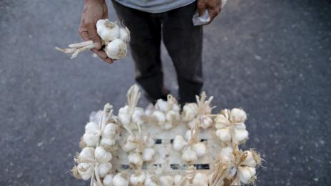 Екстрактът от стар чесън срещу сърдечни болести