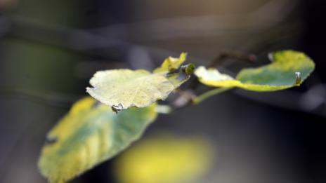 Хороскопът ви за 28 октомври