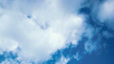 Как да съберете смелост да сбъднете мечтите си?