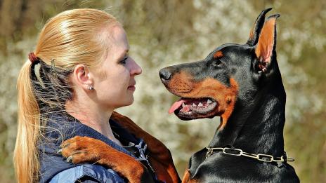 9 здравословни храни, полезни и за кучето ви