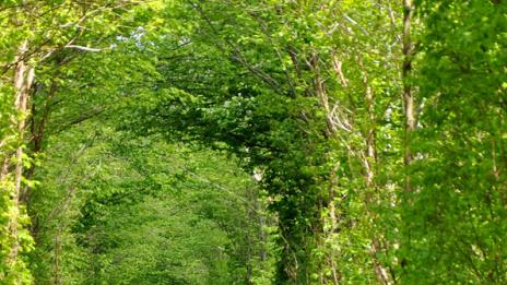 Тунелът на любовта