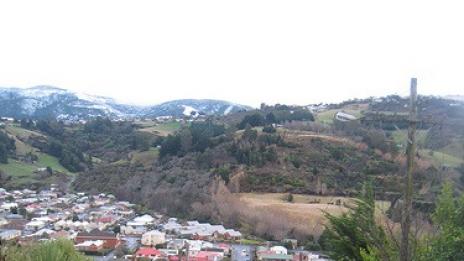 Улица „Болдуин“ – най-стръмната в света