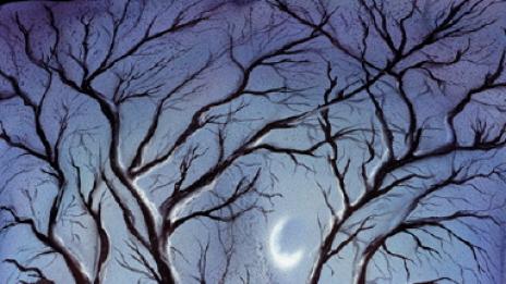 Тялото като изкуство