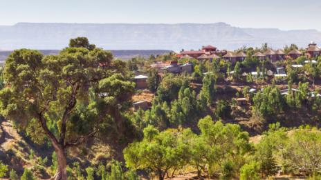 Любопитни факти за Етиопия