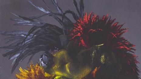 Много красавици, много очарование