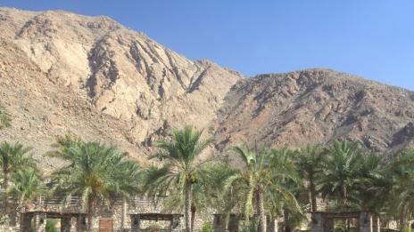 Луксозни оазиси в планината
