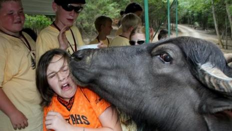 Да заснемеш кадъра в точния момент!